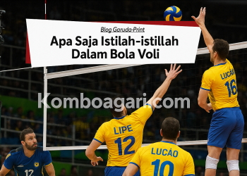 Istilah Penting dalam Bola Voli yang Wajib Diketahui